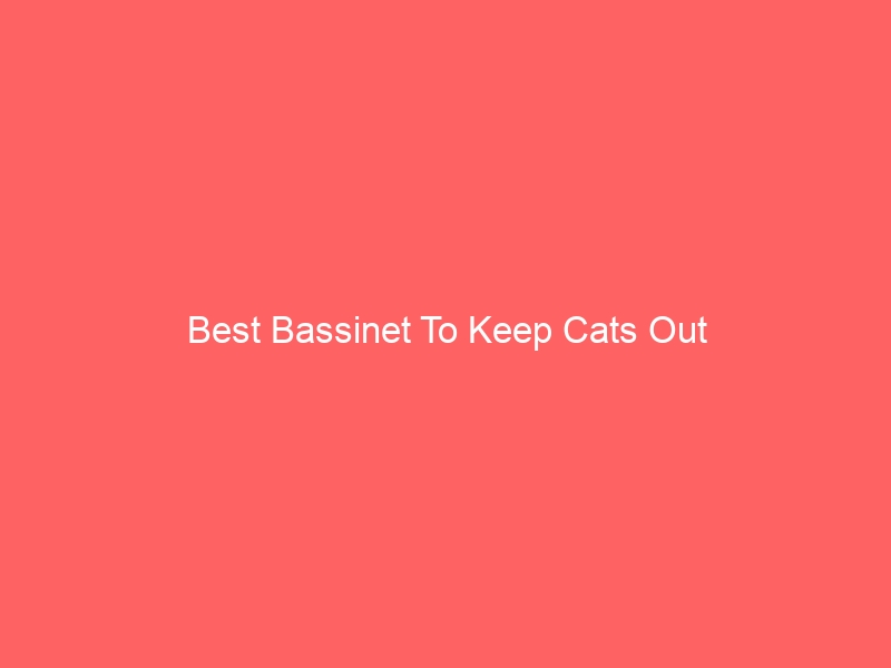 Read more about the article Best Bassinet To Keep Cats Out