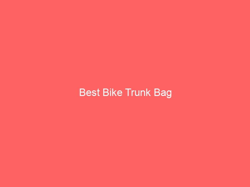 Read more about the article Best Bike Trunk Bag