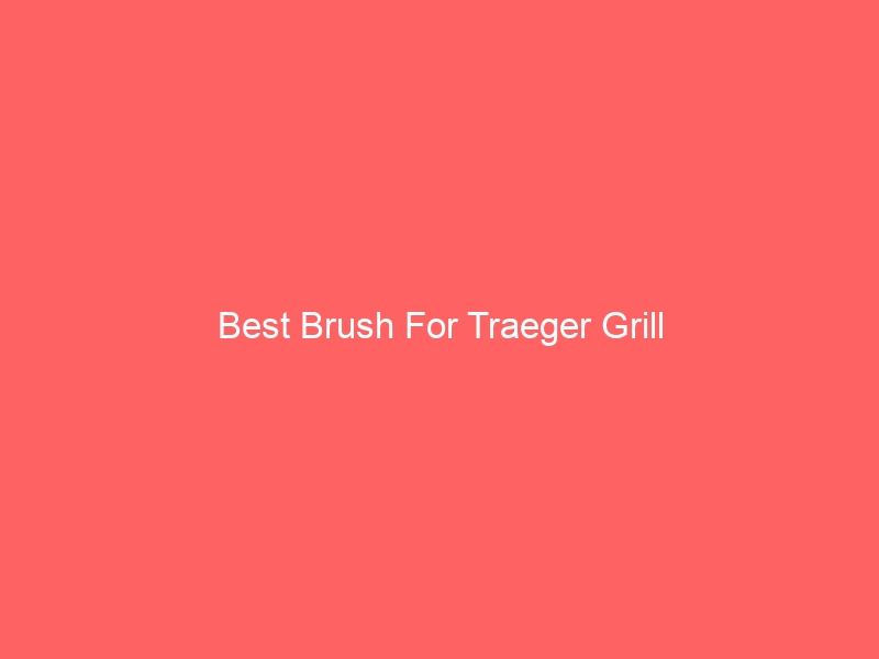 Read more about the article Best Brush For Traeger Grill