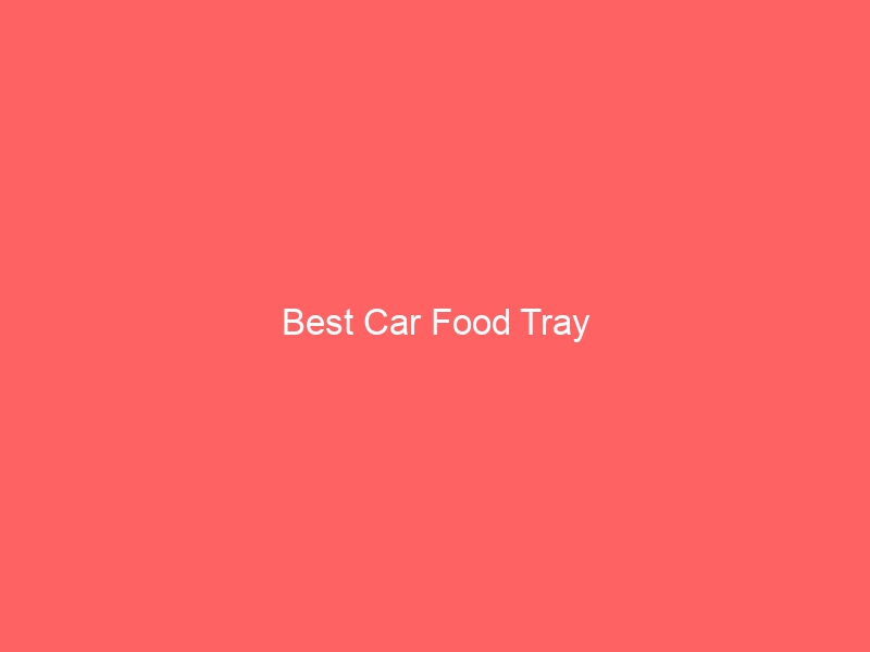 Read more about the article Best Car Food Tray
