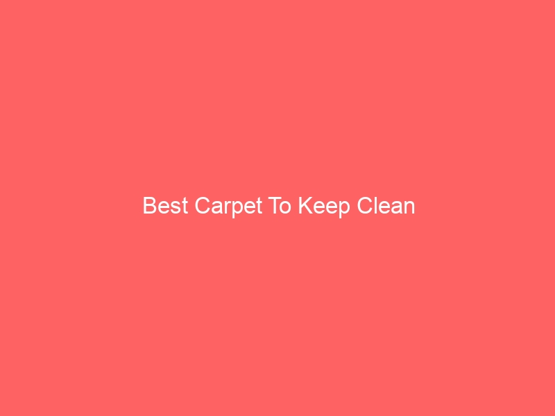 Read more about the article Best Carpet To Keep Clean