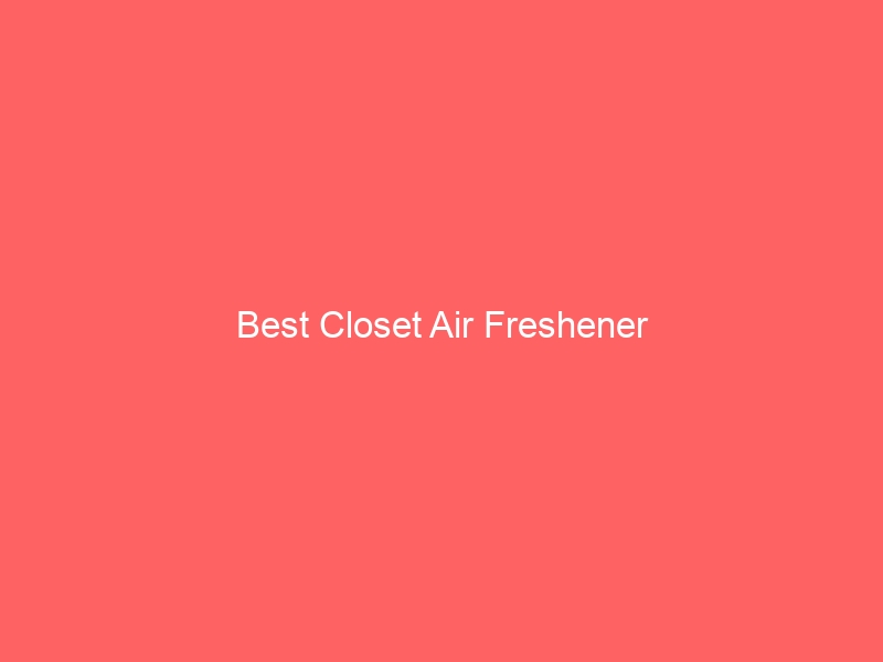 Read more about the article Best Closet Air Freshener