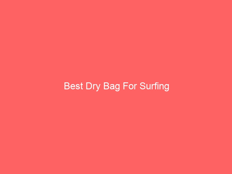 Read more about the article Best Dry Bag For Surfing