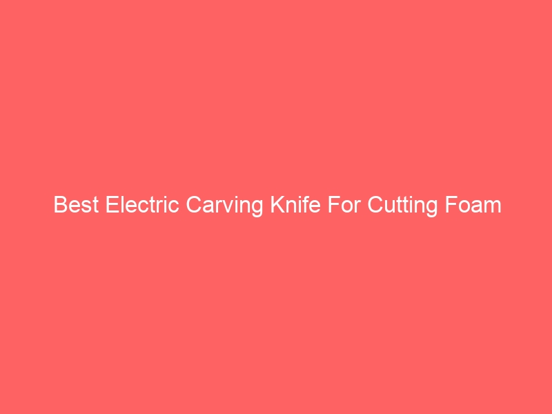 Read more about the article Best Electric Carving Knife For Cutting Foam