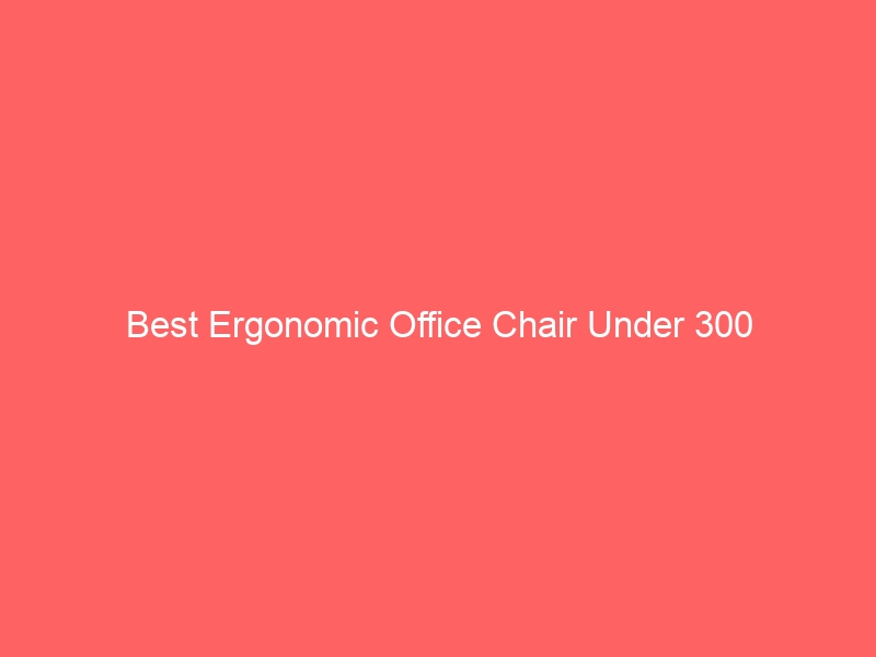 Read more about the article Best Ergonomic Office Chair Under 300