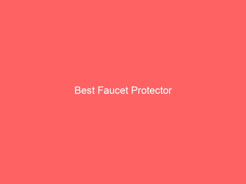 Read more about the article Best Faucet Protector