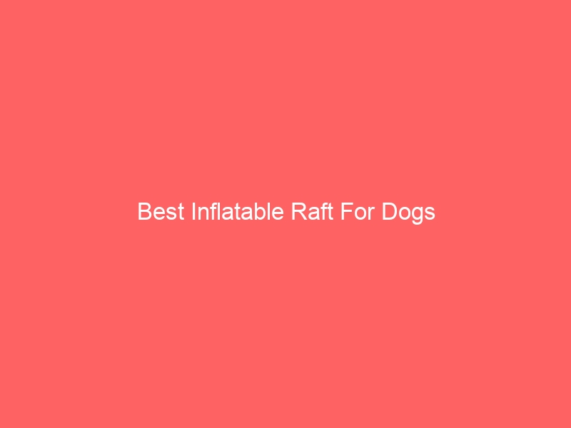 Read more about the article Best Inflatable Raft For Dogs