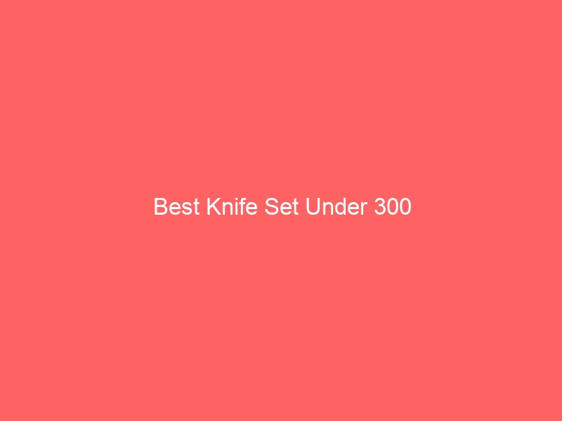Read more about the article Best Knife Set Under 300