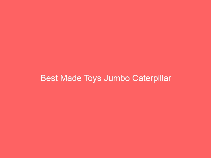 Read more about the article Best Made Toys Jumbo Caterpillar