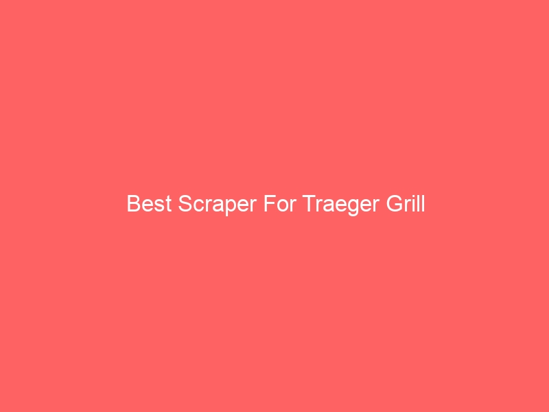 Read more about the article Best Scraper For Traeger Grill