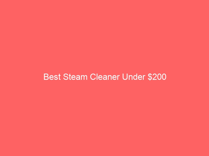 Read more about the article Best Steam Cleaner Under $200