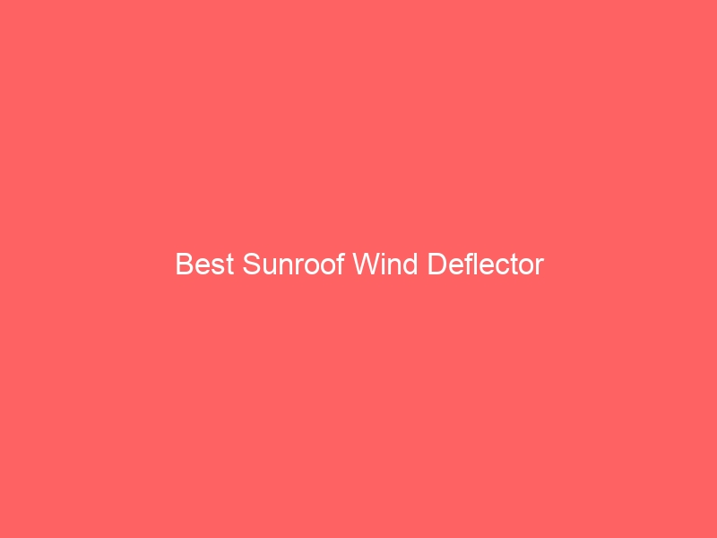 Read more about the article Best Sunroof Wind Deflector