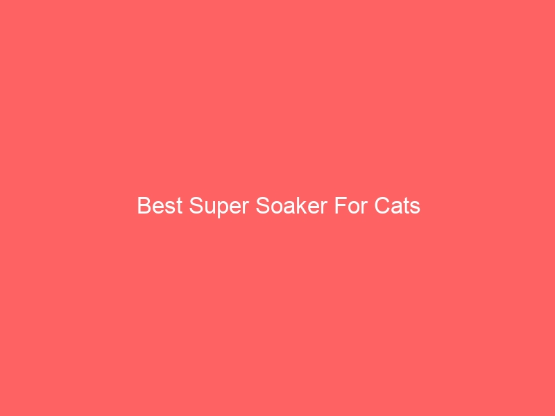 Read more about the article Best Super Soaker For Cats