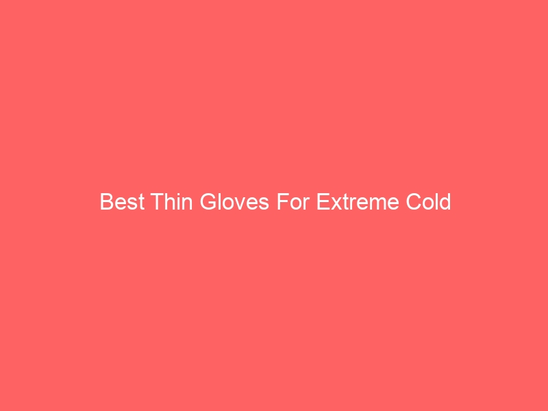Read more about the article Best Thin Gloves For Extreme Cold