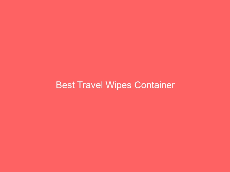 Read more about the article Best Travel Wipes Container