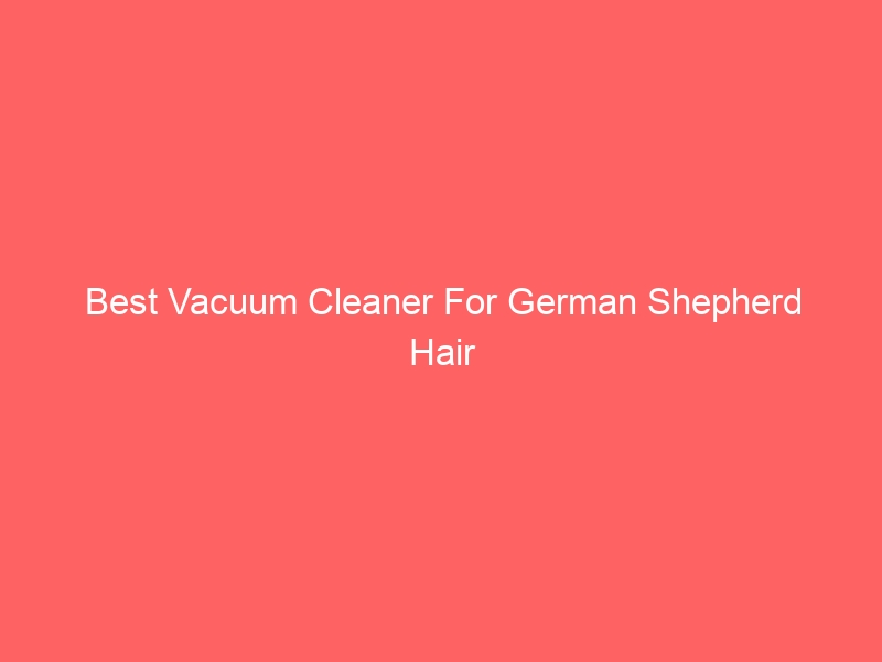 Read more about the article Best Vacuum Cleaner For German Shepherd Hair