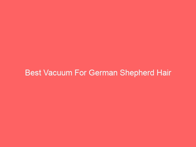 Read more about the article Best Vacuum For German Shepherd Hair