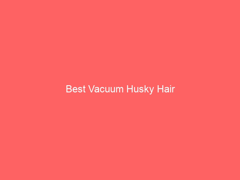 Read more about the article Best Vacuum Husky Hair