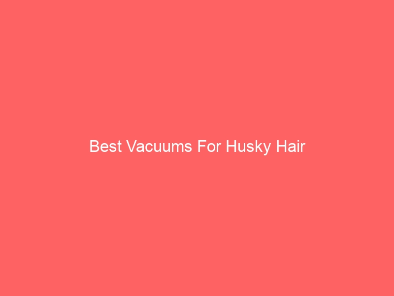 Read more about the article Best Vacuums For Husky Hair