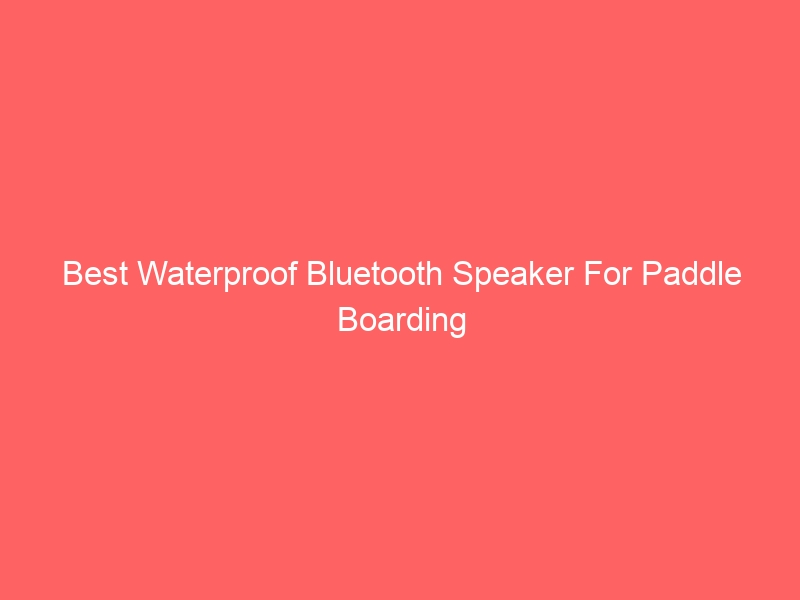 Read more about the article Best Waterproof Bluetooth Speaker For Paddle Boarding