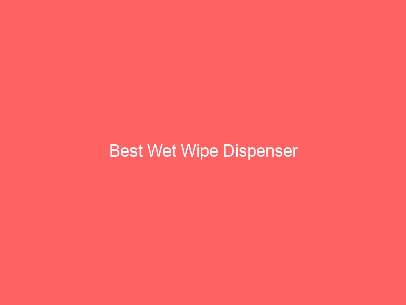 Read more about the article Best Wet Wipe Dispenser